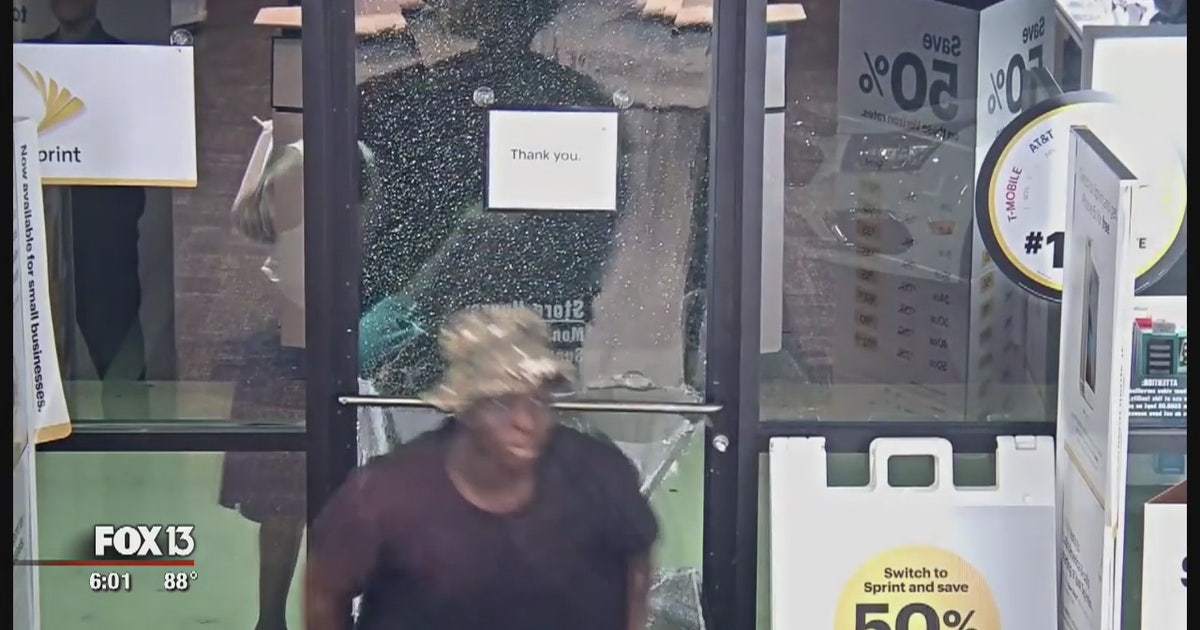 6 arrested in car dealership burglary spree | FOX 13 Tampa Bay
