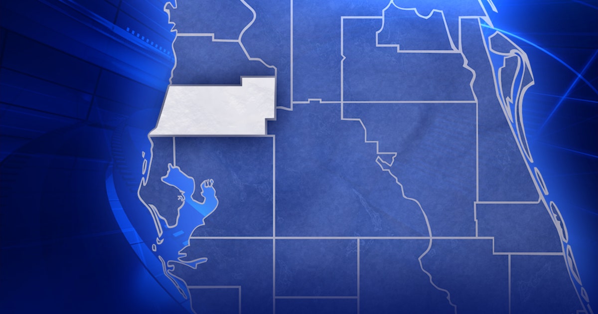 2 dead, including 4-year-old boy, after head-on crash in Zephyrhills: FHP