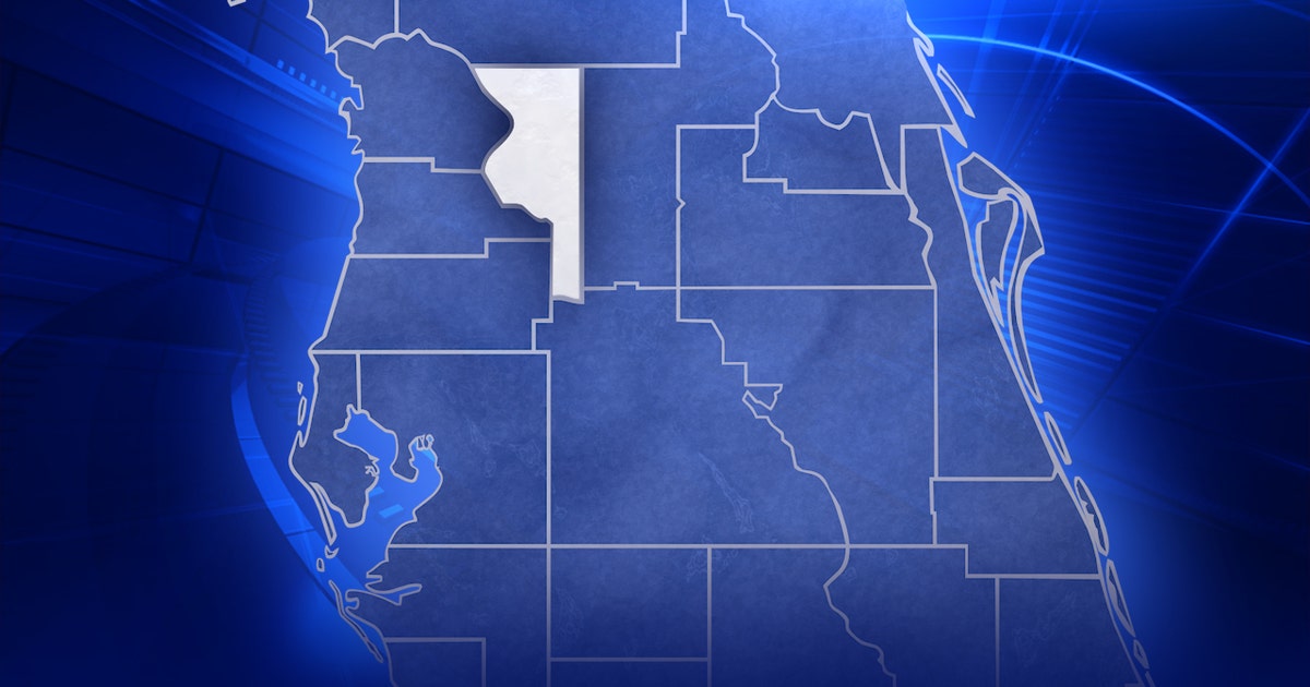 www.fox13news.com