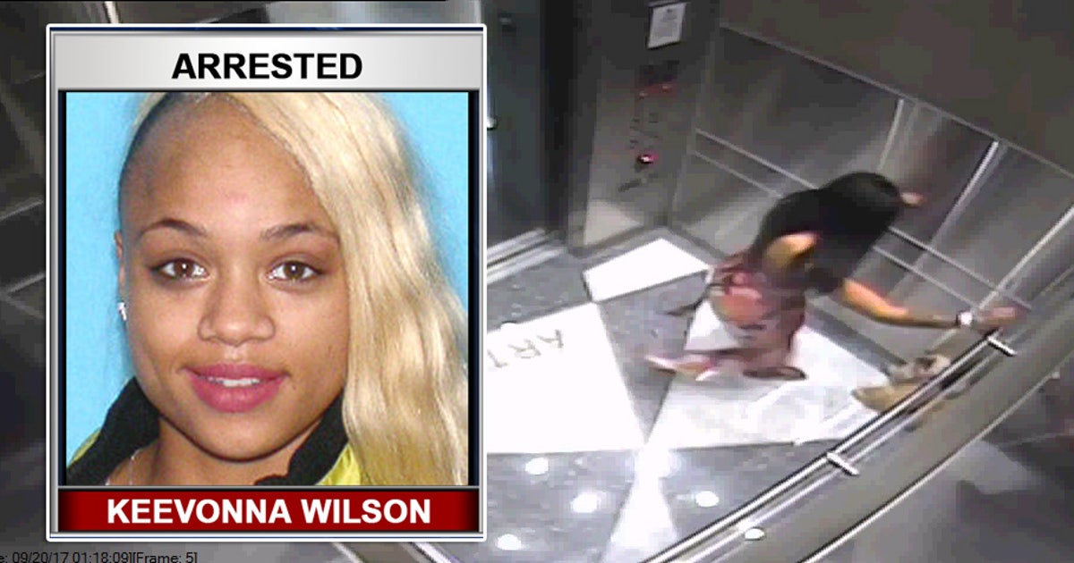 Florida woman arrested for kicking dog repeatedly in elevator | FOX 13 ...