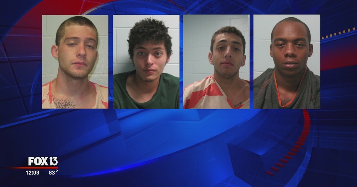 Four arrested for Pasco armed robberies | FOX 13 Tampa Bay