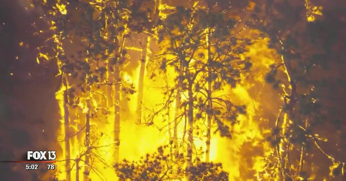Another Polk brush fire could be arson | FOX 13 Tampa Bay