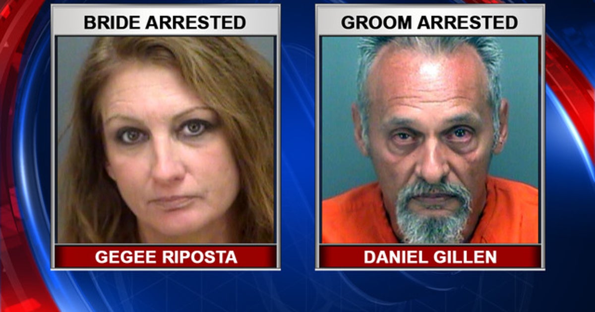 Hours after Clearwater wedding, newlyweds arrested for hotel fight ...