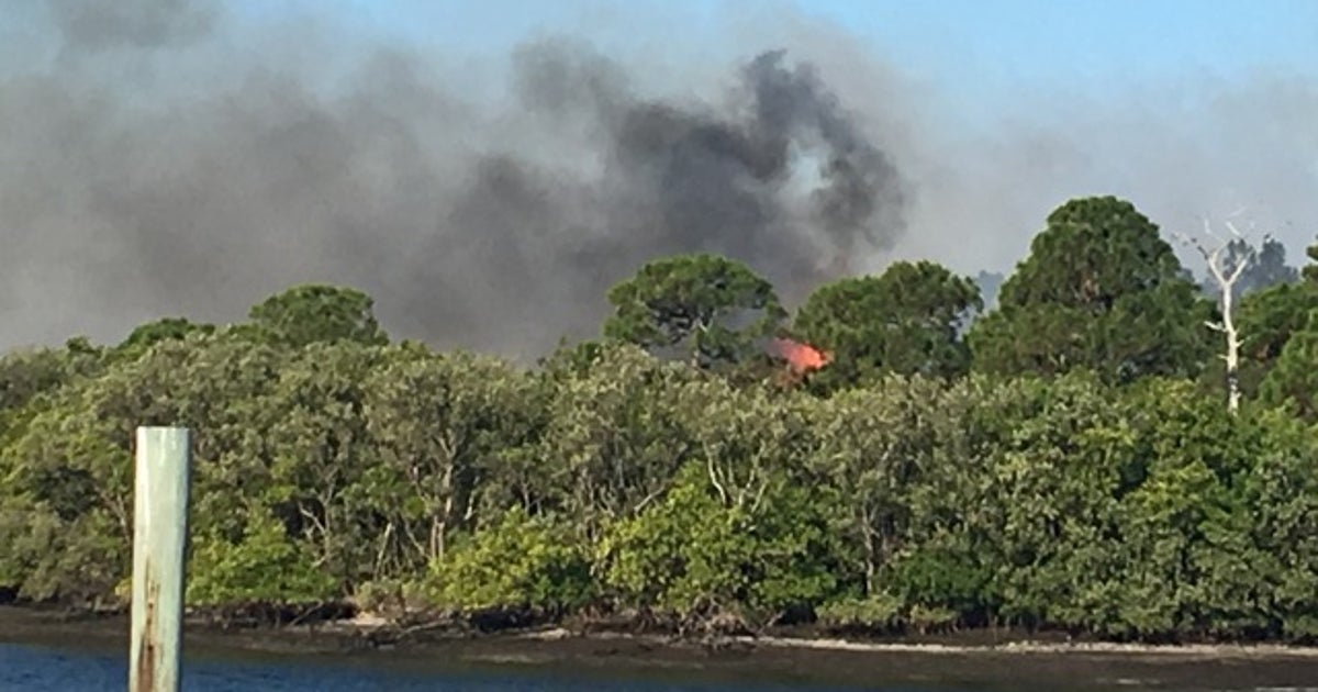 Crews battle brush fire near Anclote River Park | FOX 13 Tampa Bay