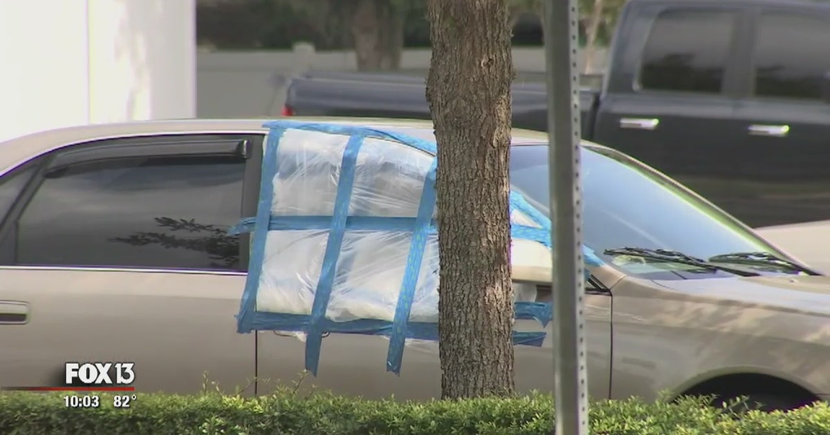 Within one month, 82 car burglaries reported in Winter Haven | FOX 13 ...