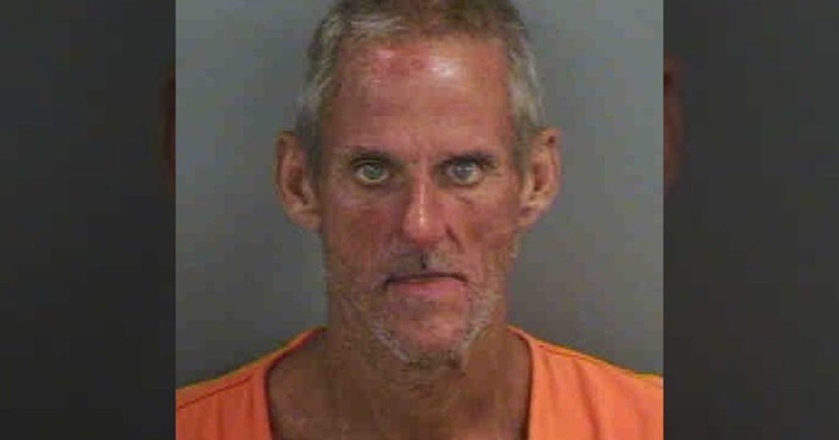 www.fox13news.com