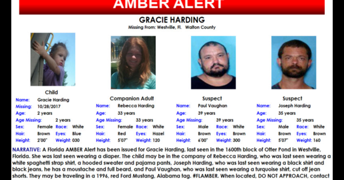 Missing 2-year-old found safe after Amber Alert | FOX 13 Tampa Bay