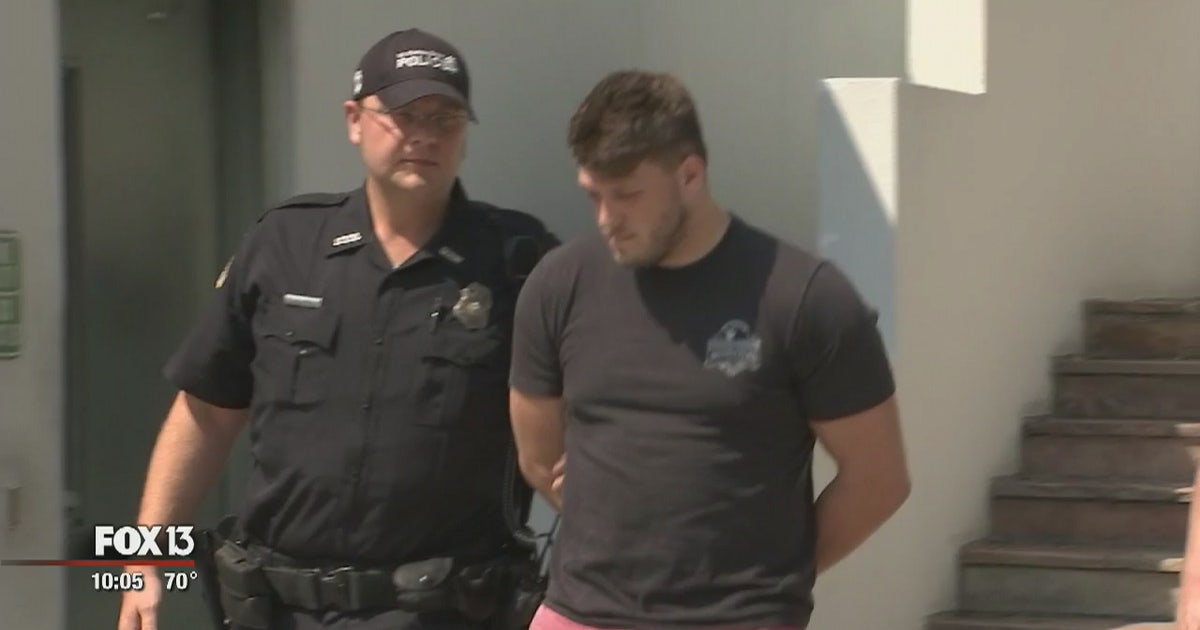 Police: Martial arts instructor knocked out USF student | FOX 13 Tampa Bay