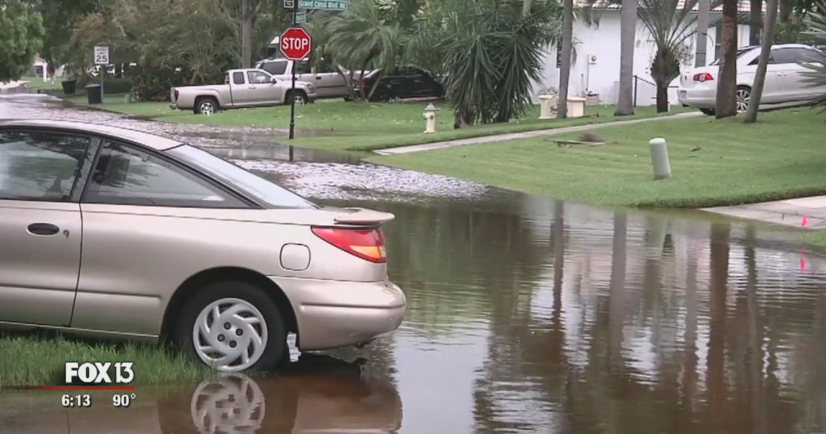 Harvey highlights importance of flood insurance | FOX 13 Tampa Bay