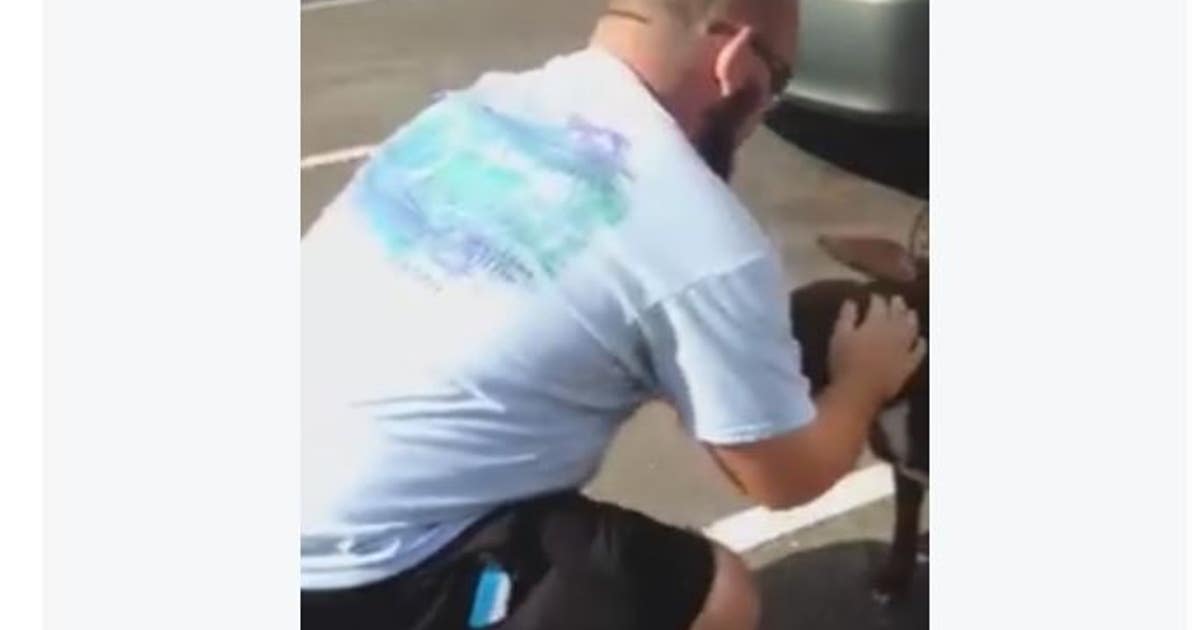 Man busts window to save dog in hot truck in Largo | FOX 13 Tampa Bay