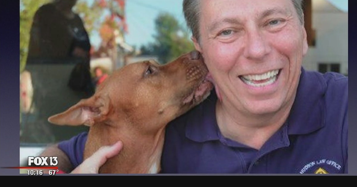 DUI attorney arrested on DUI charges himself | FOX 13 Tampa Bay