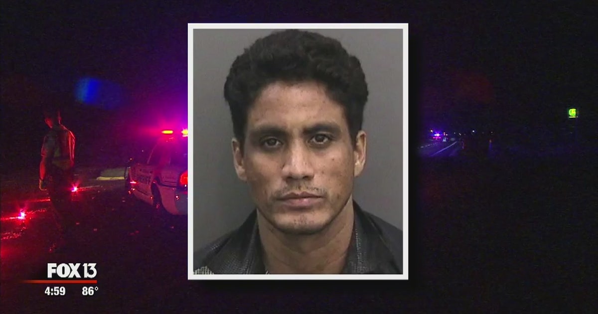 Driver involved in deadly crash has prior DUI arrests | FOX 13 Tampa Bay