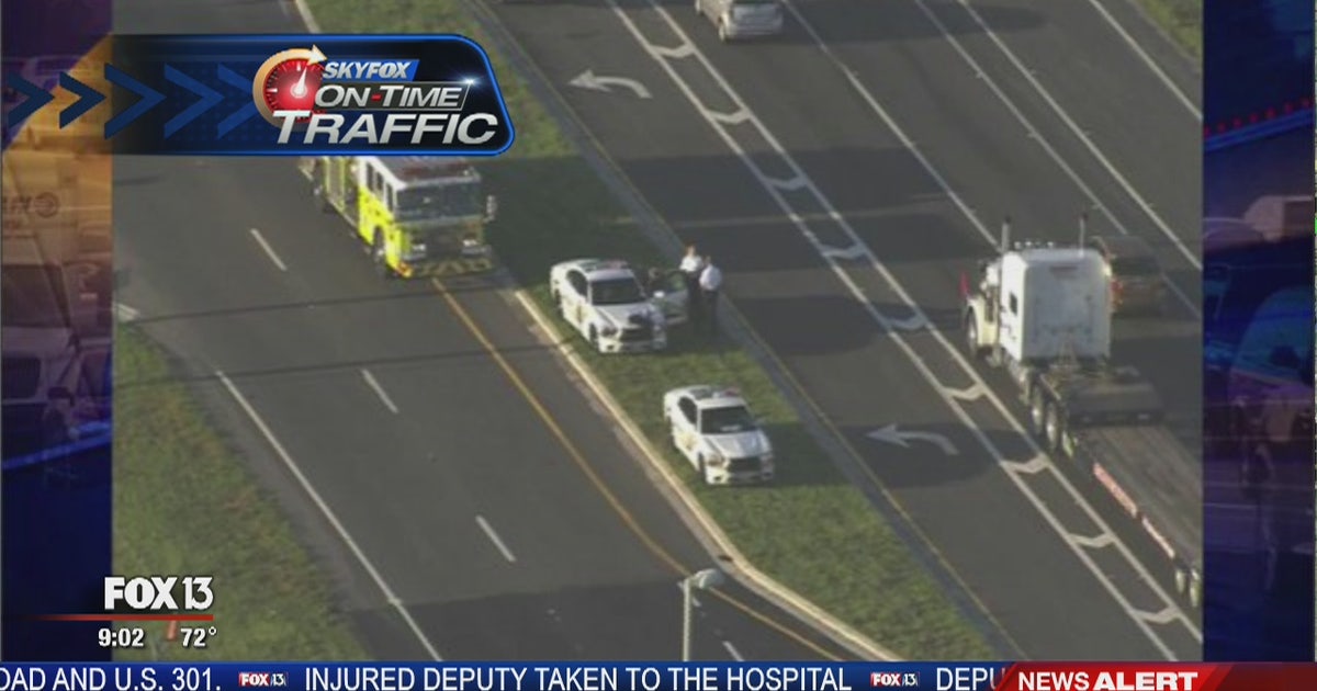 Deputy struck by fleeing driver, search underway | FOX 13 Tampa Bay