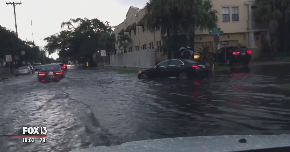 Tampa says stormwater system improvements are working | FOX 13 Tampa Bay
