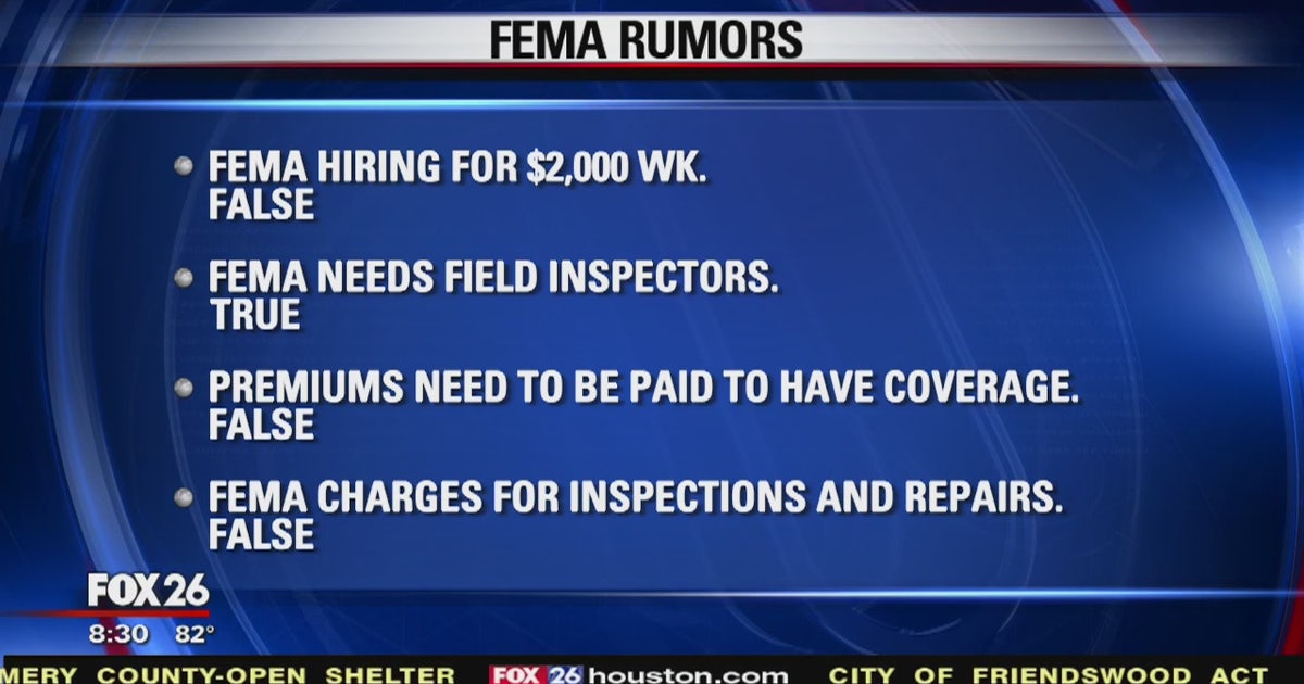 False FEMA information circulating on the internet | FOX 13 Tampa Bay