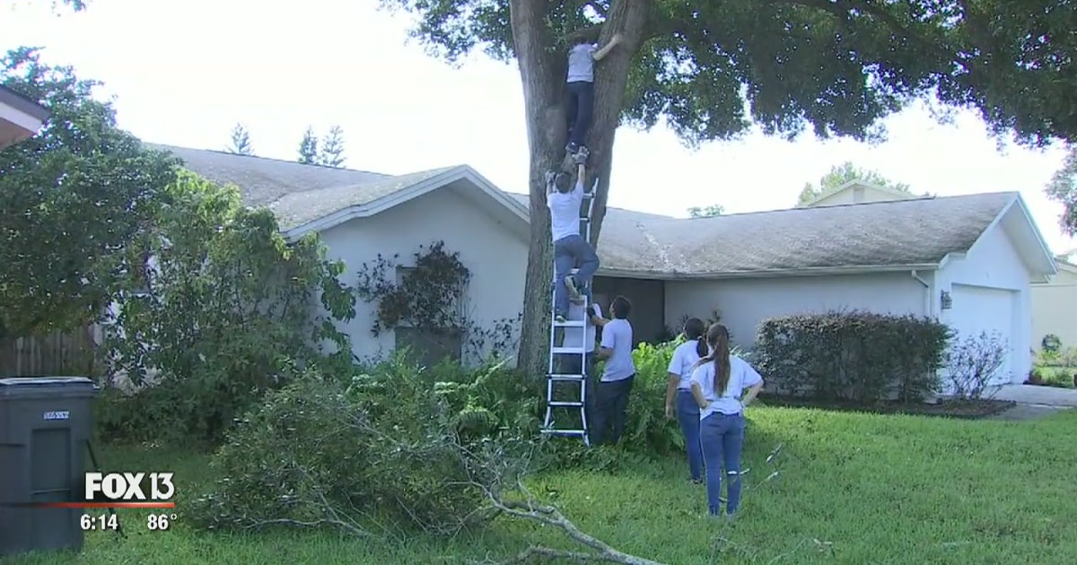 Teens help clear trees while school's out | FOX 13 Tampa Bay