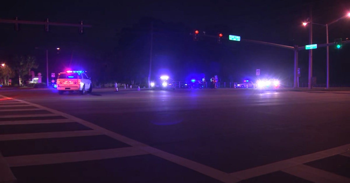 Pedestrian dies in Palm Harbor crash | FOX 13 Tampa Bay
