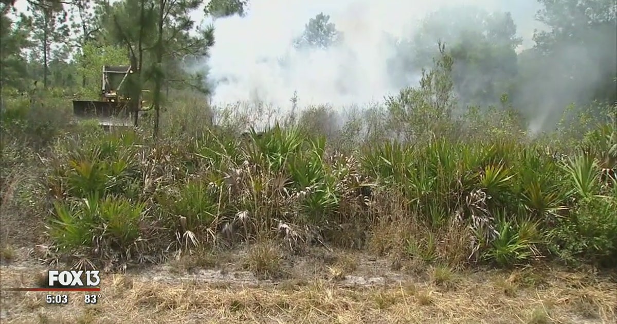 Arson could be cause of Polk Co. wildfires | FOX 13 Tampa Bay