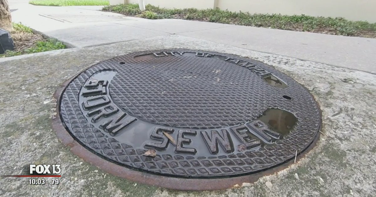 City hopes South Tampa sewer scrub will help flooding | FOX 13 Tampa Bay