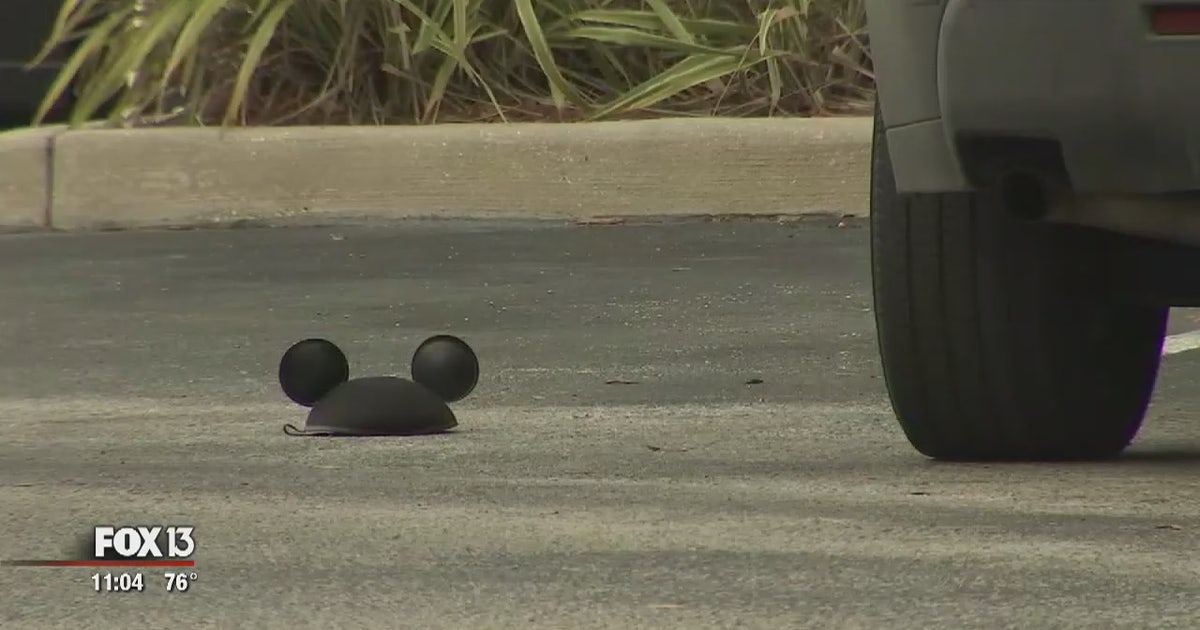 Child dies after being left in hot car by half-sister | FOX 13 Tampa Bay