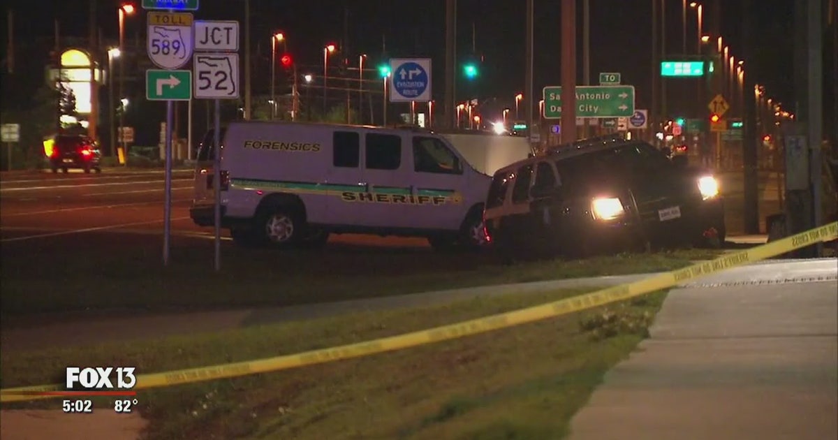 Search for driver in deadly hit-and-run crash | FOX 13 Tampa Bay