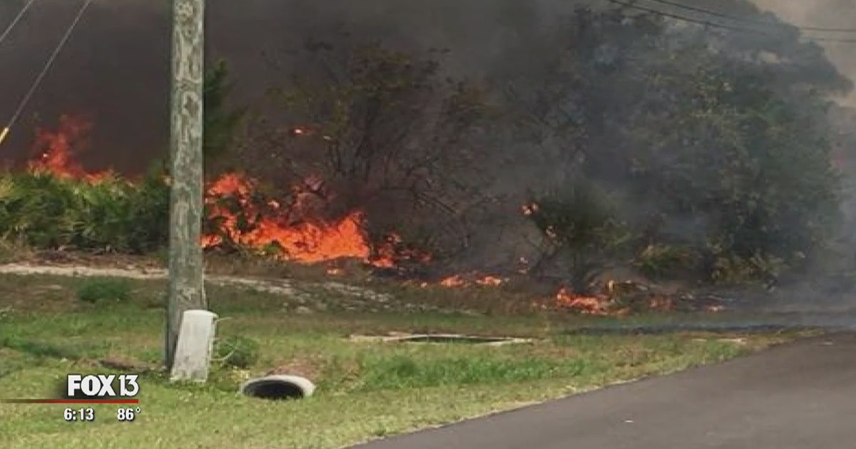 Officials warn: Clear your property of wildfire fuel | FOX 13 Tampa Bay