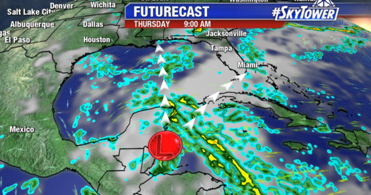 Another rainy week as forecasters eye tropics | FOX 13 Tampa Bay