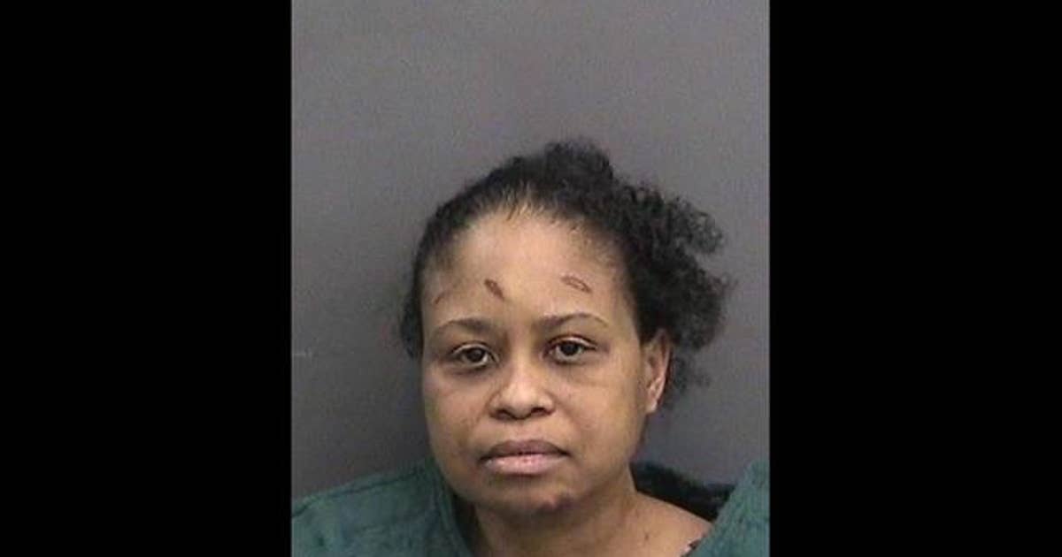 Woman arrested for DUI, driving the wrong way | FOX 13 Tampa Bay