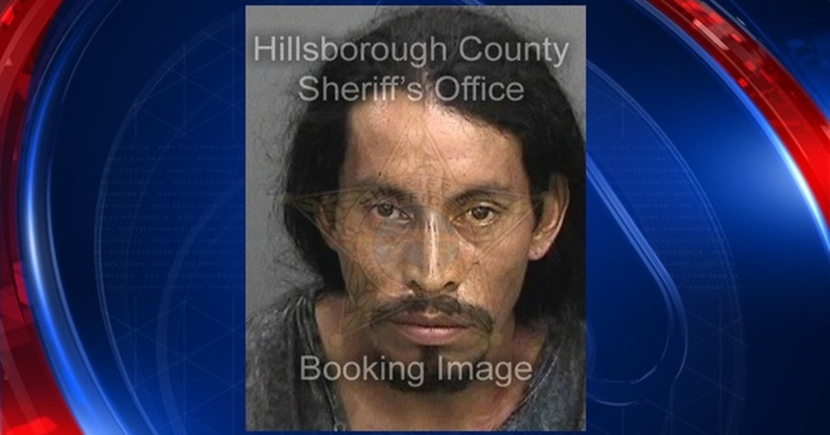 Wrong-way crash leads to DUI arrest | FOX 13 Tampa Bay
