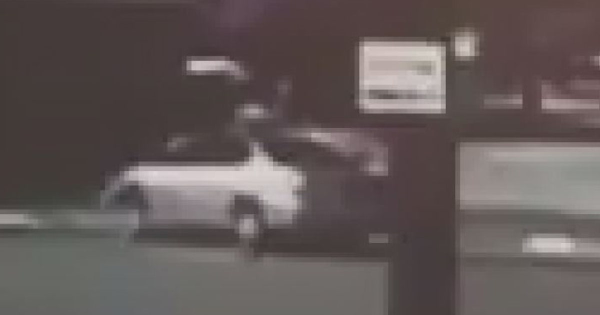 Troopers search for driver in hit and run | FOX 13 Tampa Bay
