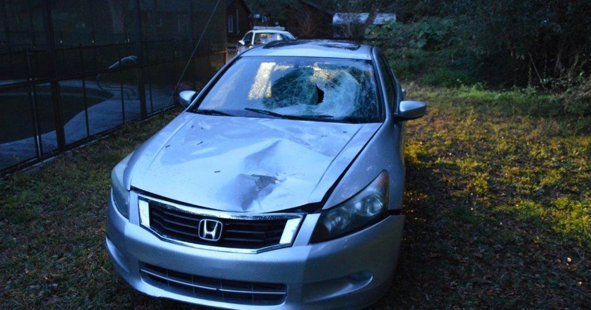 Woman Baker-acted following hit and run fatality | FOX 13 Tampa Bay