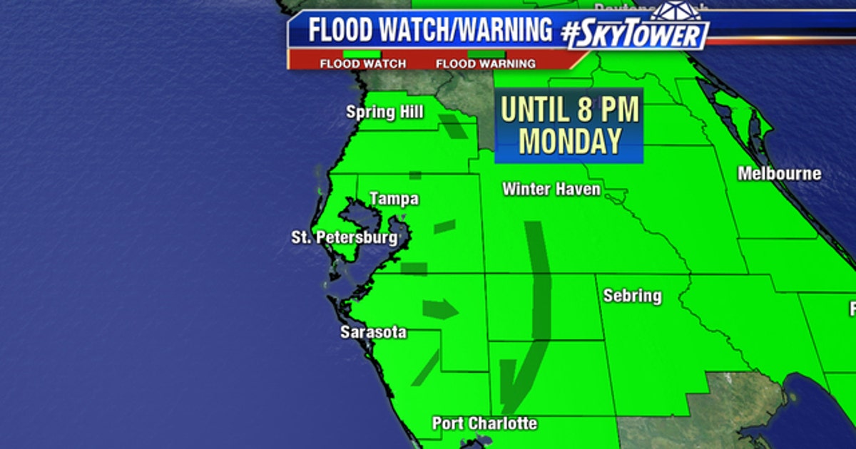 Remnants of Erika to bring rain, possible flooding | FOX 13 Tampa Bay