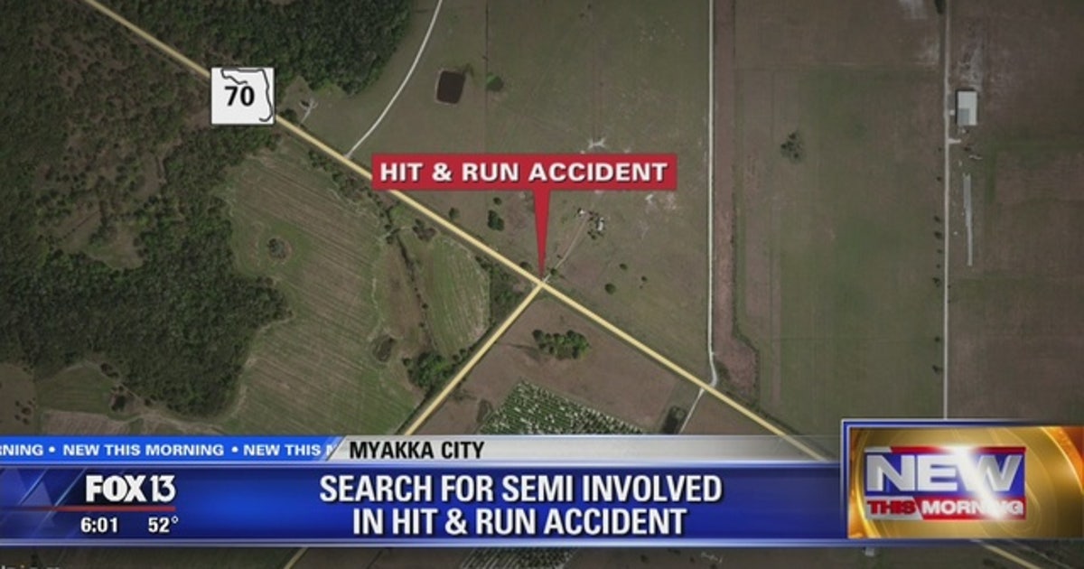 Search for hit-and-run driver | FOX 13 Tampa Bay
