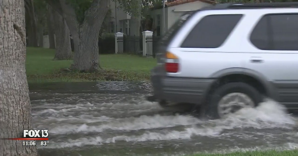 Flooding, erosion already impacting coastal Bay Area | FOX 13 Tampa Bay