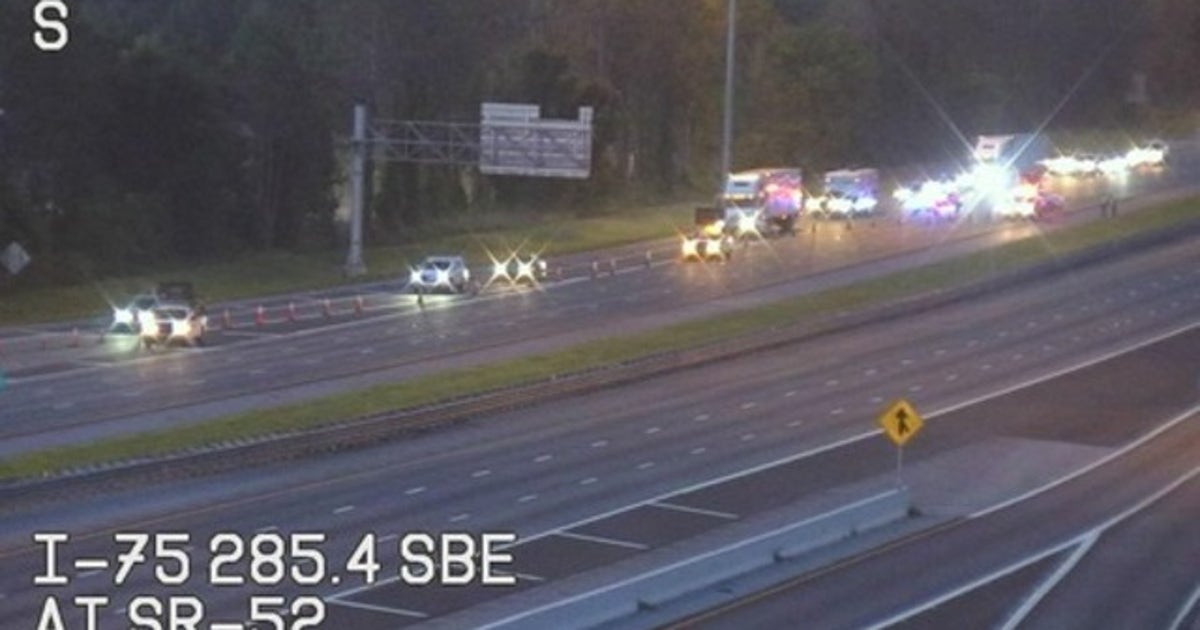 Driver hit, killed while trying to help passenger after crash | FOX 13 ...