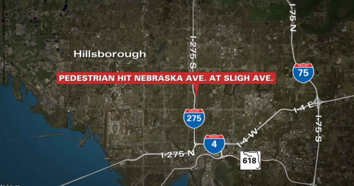 Pedestrian hit by vehicle near Nebraska Ave, Tampa | FOX 13 Tampa Bay