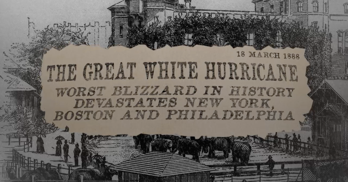 The 5 Worst Blizzards in American History | FOX 13 Tampa Bay