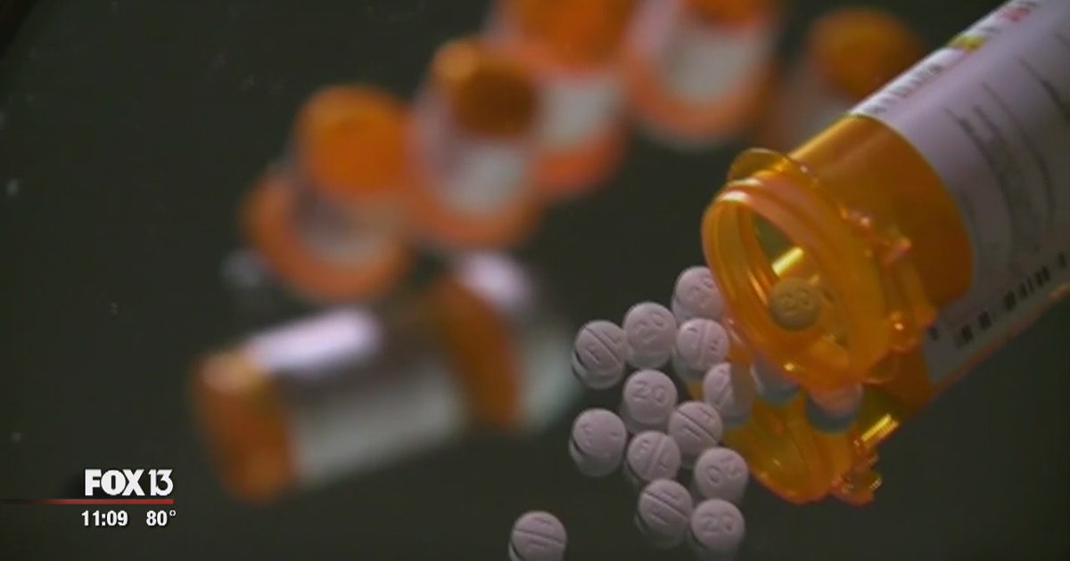 HCSO offers rehab instead of jail for struggling addicts | FOX 13 Tampa Bay