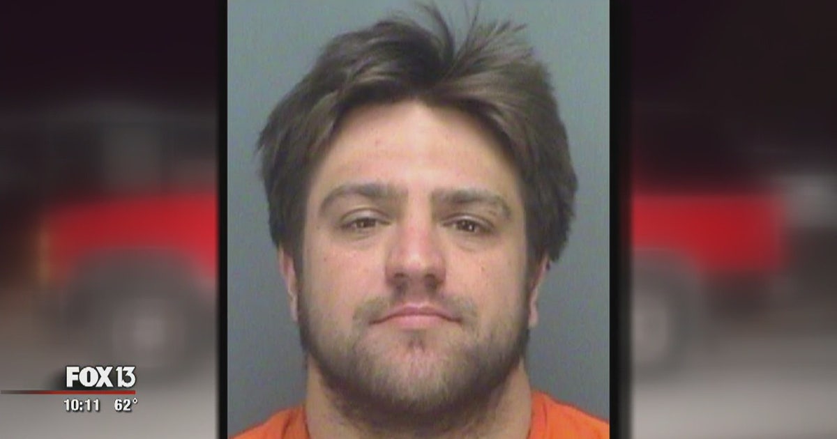 St. Pete police make hit-and-run arrest | FOX 13 Tampa Bay