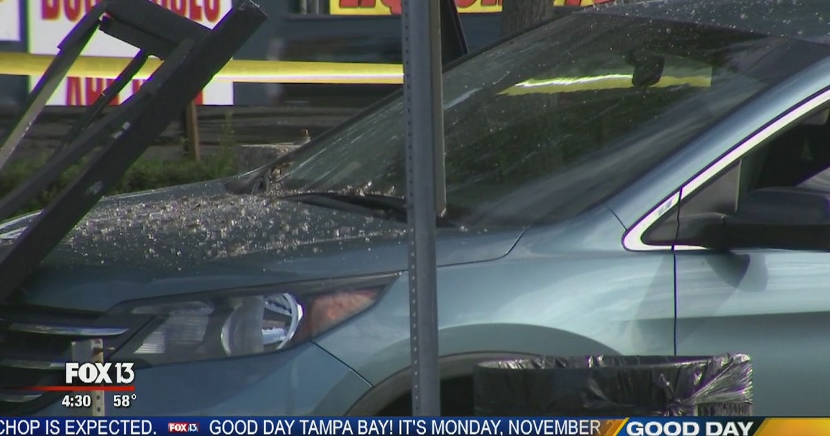 Grandfather dies, grandson injured in bus stop crash | FOX 13 Tampa Bay