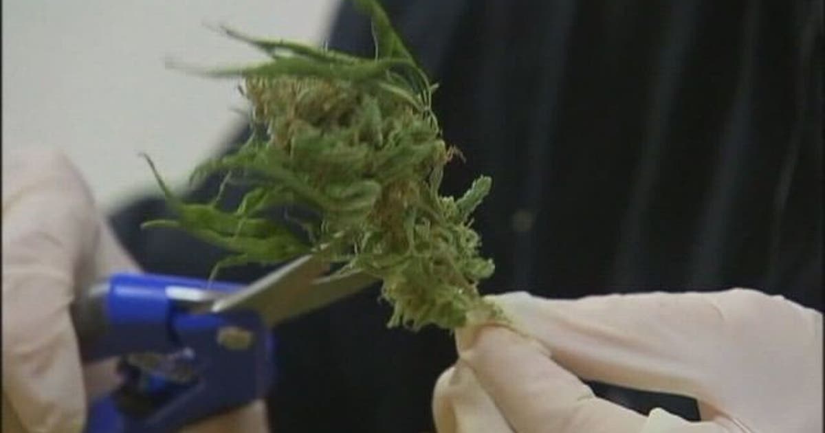 Supporters critical of House medical marijuana proposal | FOX 13 Tampa Bay