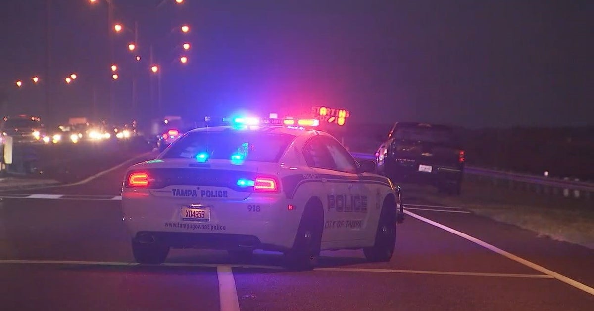 Tampa police investigate deadly hit-and-run on causeway | FOX 13 Tampa Bay