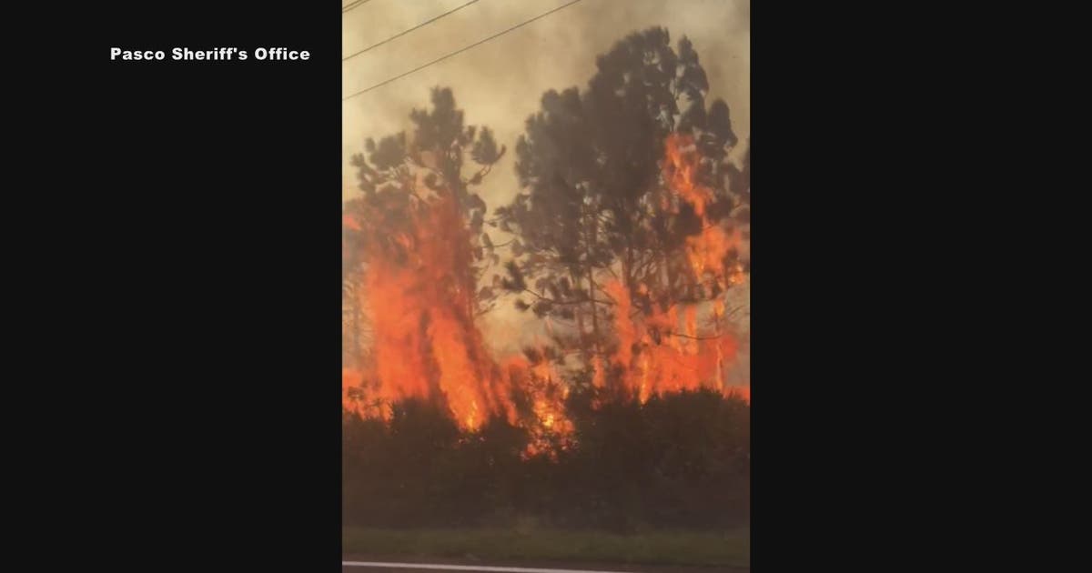 EVACUATIONS: Brush fires burn almost 15 acres in Hudson | FOX 13 Tampa Bay