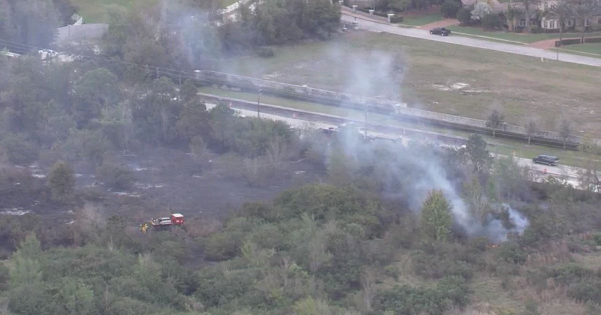 Small brush fire flares up in Pinellas | FOX 13 Tampa Bay