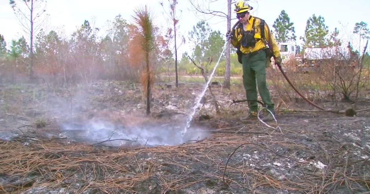 Dry, breezy conditions keep brush fire threat high | FOX 13 Tampa Bay