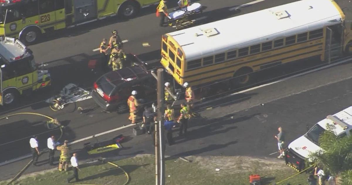 Van hits school bus in Dover | FOX 13 Tampa Bay