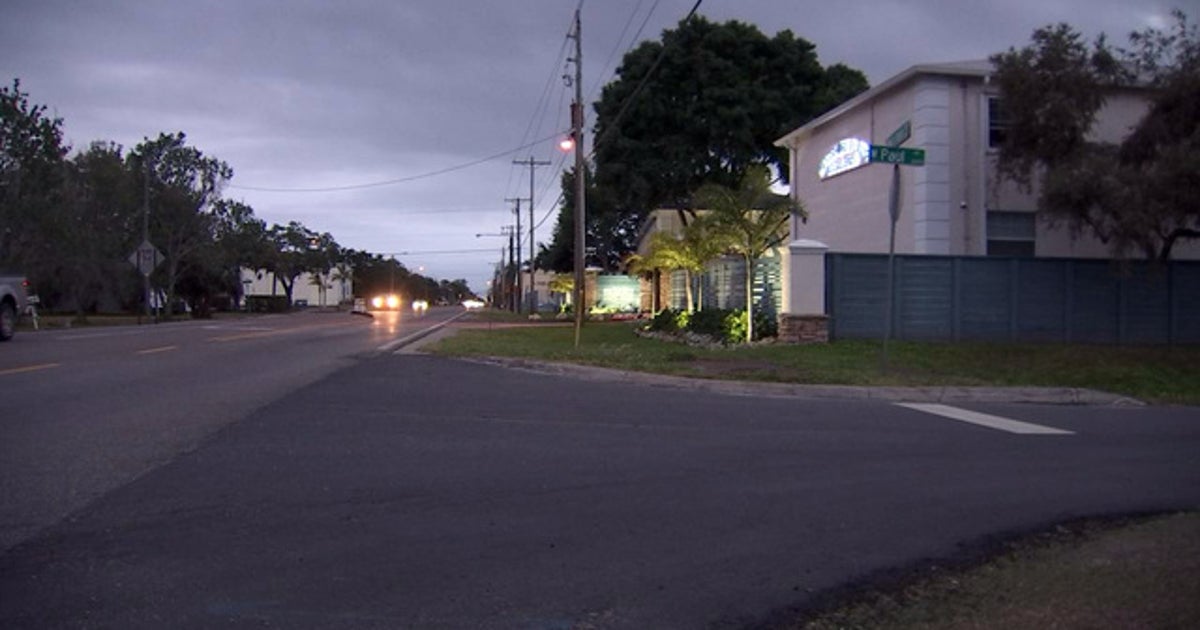 Tampa girl injured after walking into traffic | FOX 13 Tampa Bay