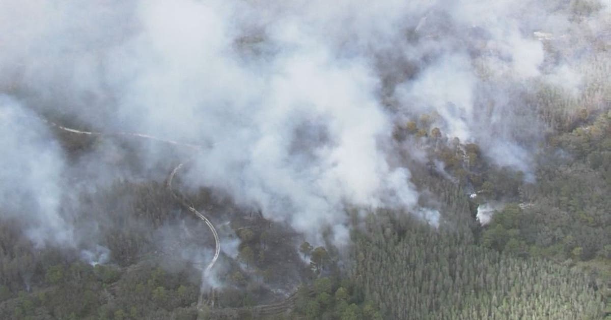 Voluntary evacuations lifted for Pasco brush fire | FOX 13 Tampa Bay