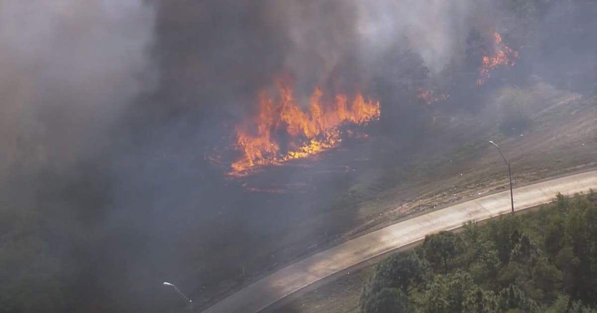 Brush fires flaring up across dry Florida | FOX 13 Tampa Bay
