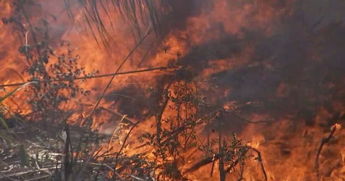 Burn ban enacted in Hillsborough County | FOX 13 Tampa Bay